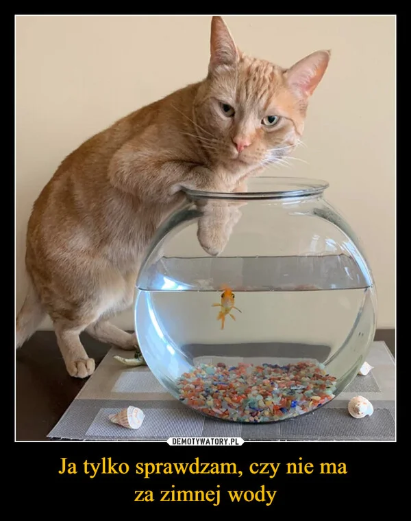 
    Ja tylko sprawdzam, czy nie ma za zimnej wody