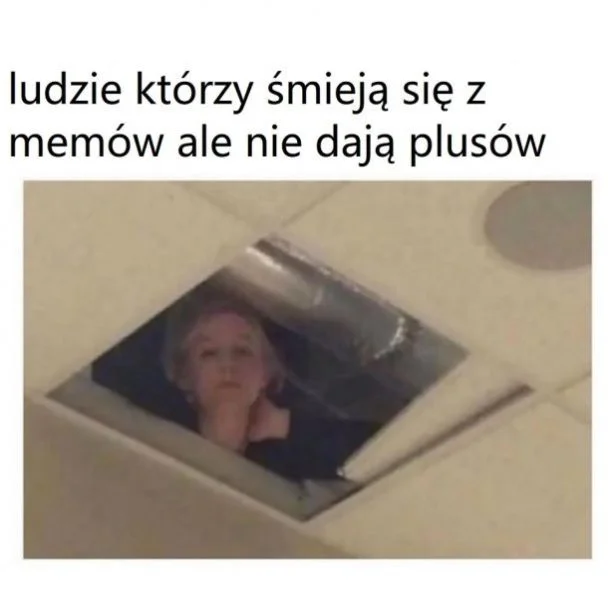 
    Plus dla memów