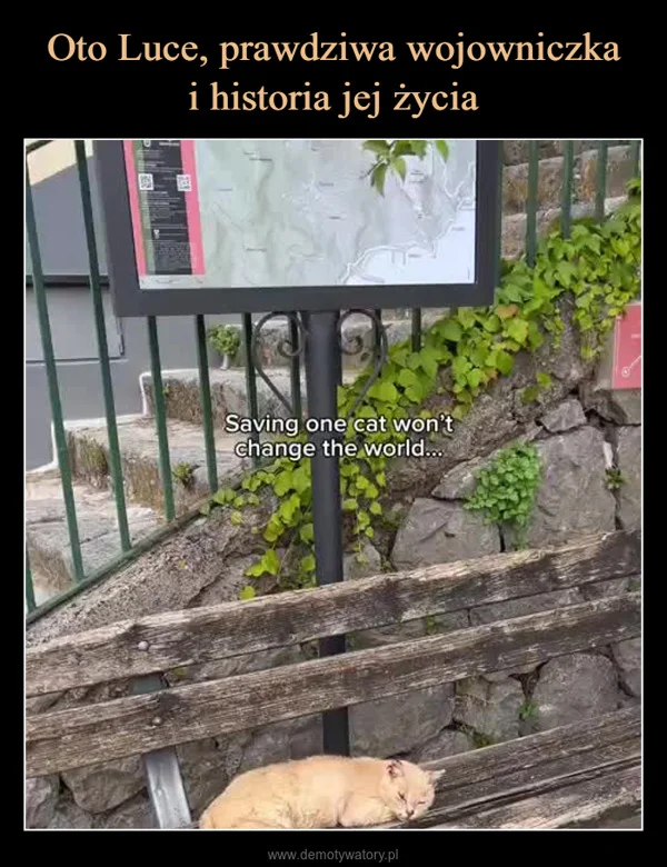 
    Oto Luce, prawdziwa wojowniczka i historia jej życia