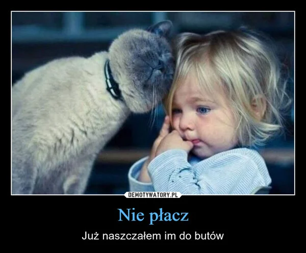 
    Nie płacz