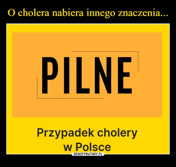 
    O cholera nabiera innego znaczenia...