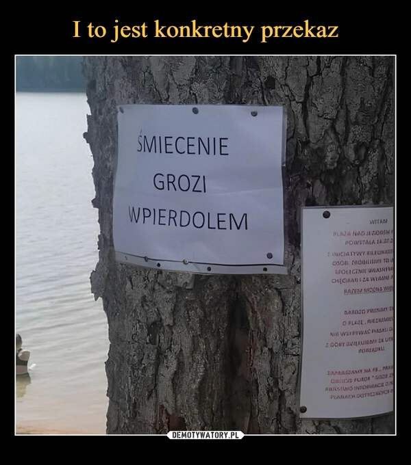 
    I to jest konkretny przekaz