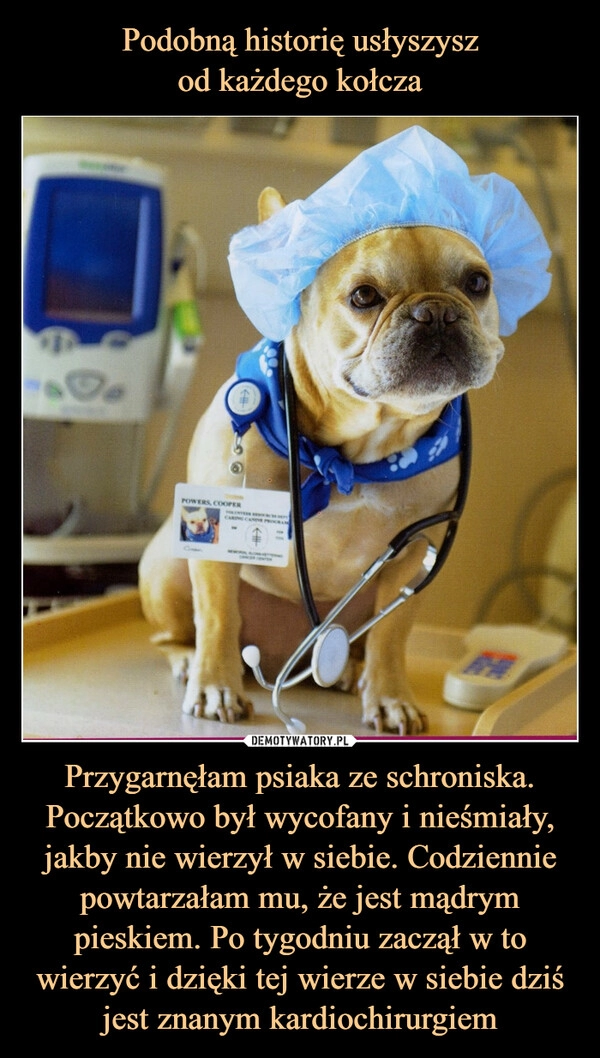 
    Podobną historię usłyszysz
od każdego kołcza Przygarnęłam psiaka ze schroniska. Początkowo był wycofany i nieśmiały, jakby nie wierzył w siebie. Codziennie powtarzałam mu, że jest mądrym pieskiem. Po tygodniu zaczął w to wierzyć i dzięki tej wierze w siebie dziś jest znanym kardiochirurgiem