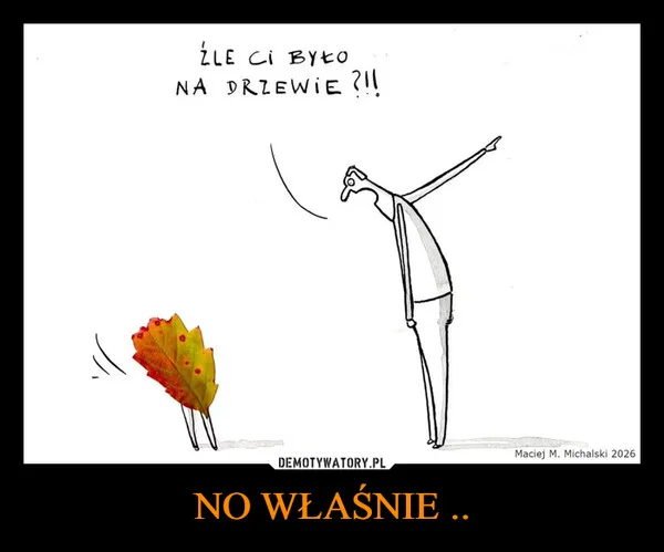 NO WŁAŚNIE ..
