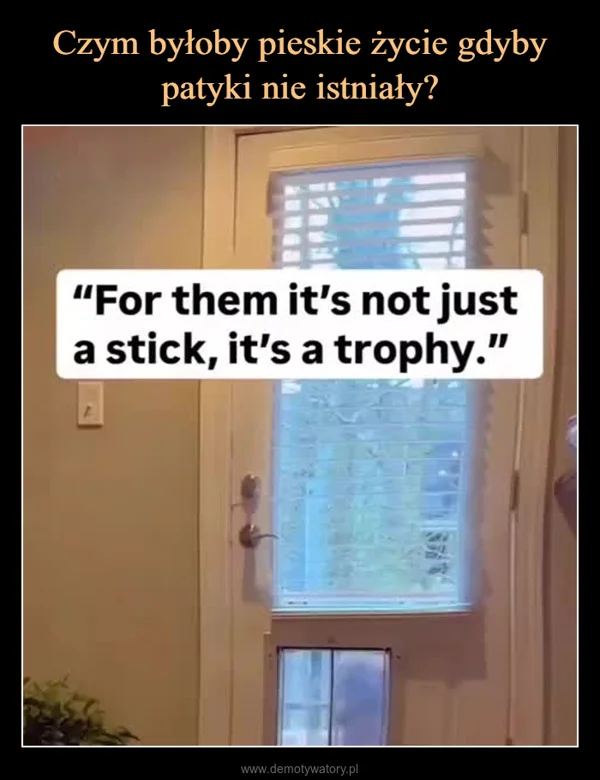 
    Czym byłoby pieskie życie gdyby patyki nie istniały?