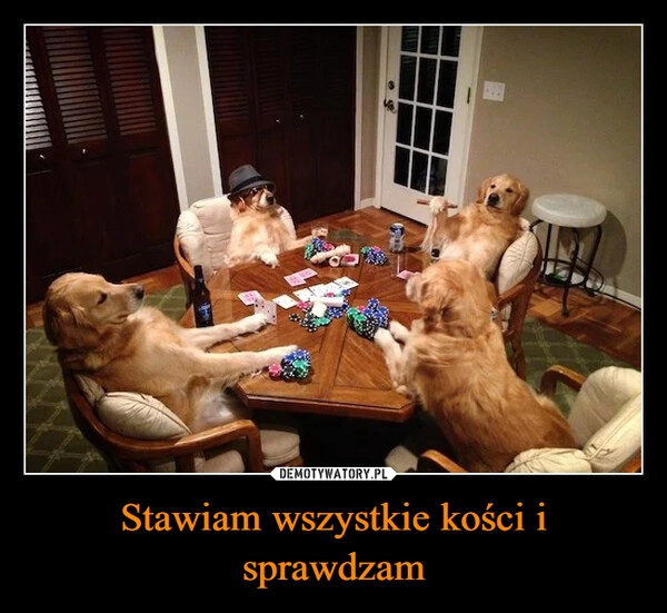 
    Stawiam wszystkie kości i sprawdzam