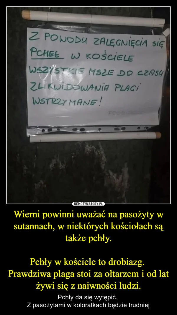 
    Wierni powinni uważać na pasożyty w sutannach, w niektórych kościołach są także pchły. Pchły w kościele to drobiazg. Prawdziwa plaga stoi za ołtarzem i od lat żywi się z naiwności ludzi.