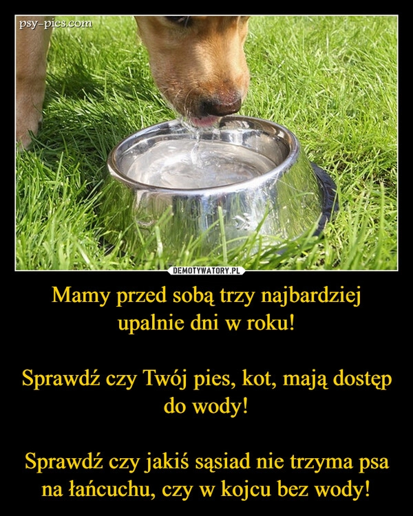 
    Mamy przed sobą trzy najbardziej upalnie dni w roku!

Sprawdź czy Twój pies, kot, mają dostęp do wody!

Sprawdź czy jakiś sąsiad nie trzyma psa na łańcuchu, czy w kojcu bez wody!