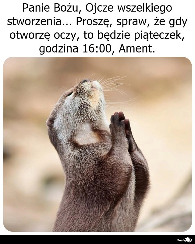 
    Kiedy chwytasz się już wszystkiego 