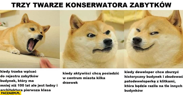 
    Trzy twarze konserwatora zabytków pies pieseł doge