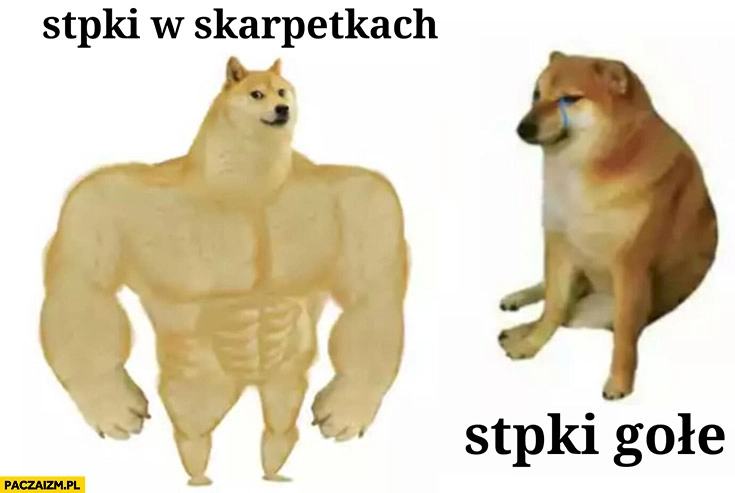 
    Stopki w skarpetkach vs stopki gołe pieseł doge