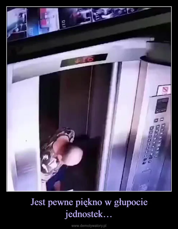 
    Jest pewne piękno w głupocie jednostek…