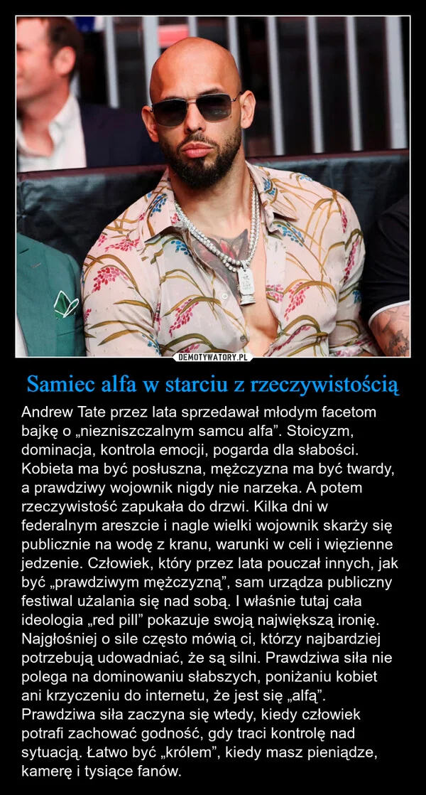
    Samiec alfa w starciu z rzeczywistością