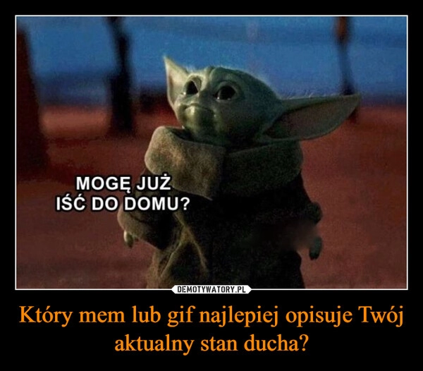 
    Który mem lub gif najlepiej opisuje Twój aktualny stan ducha?