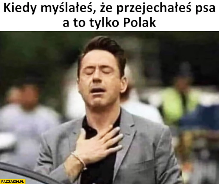 
    Kiedy myślałeś, że przejechałeś psa a to tylko Polak ulga