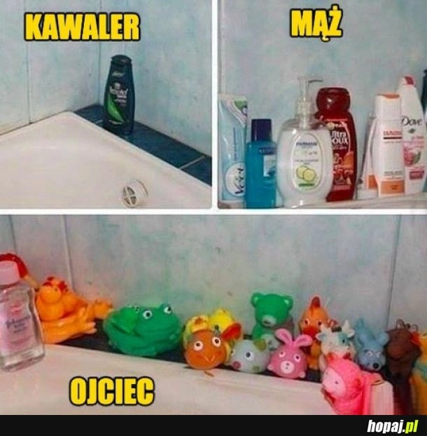 
    Tak to właśnie jest