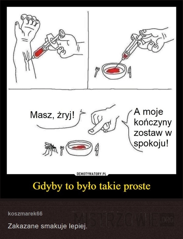 
    Zakazany napój