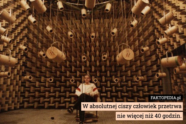 
    W absolutnej ciszy człowiek przetrwa
nie więcej niż 40 godzin.