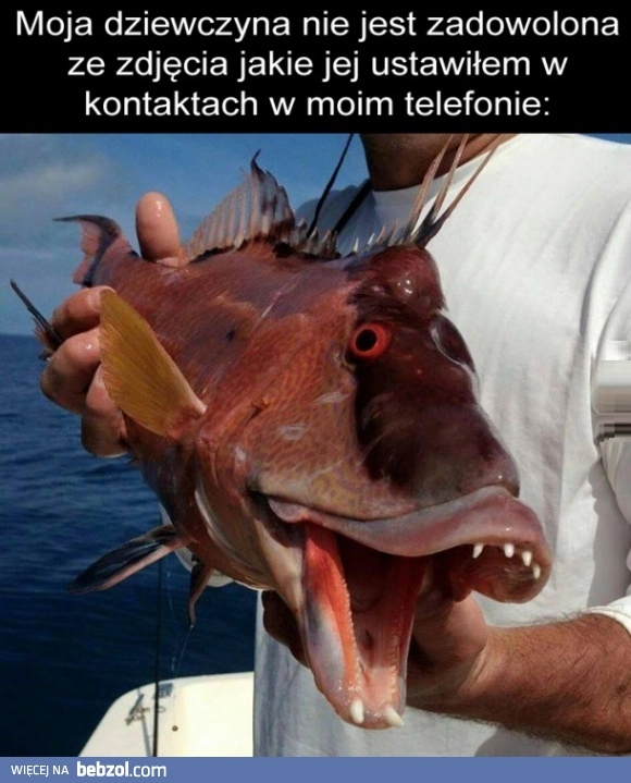 
    Fotka