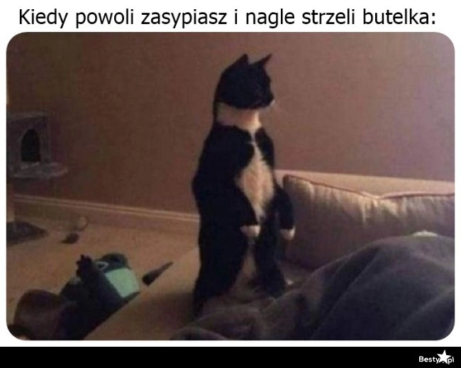 
    Co się dzieje?! 