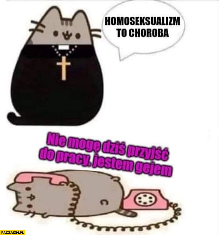 
    Ksiądz homoseksualizm to choroba, nie mogę przyjść do pracy bo jestem gejem kot pusheen