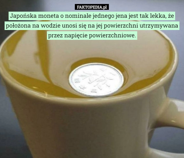 
    Japońska moneta o nominale jednego jena jest tak lekka, że położona na wodzie