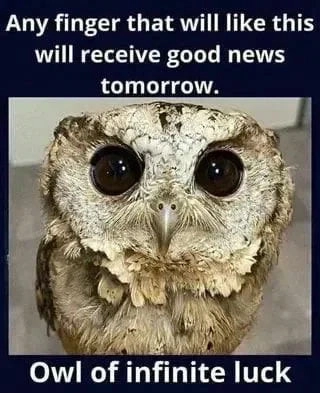 
    Including yours