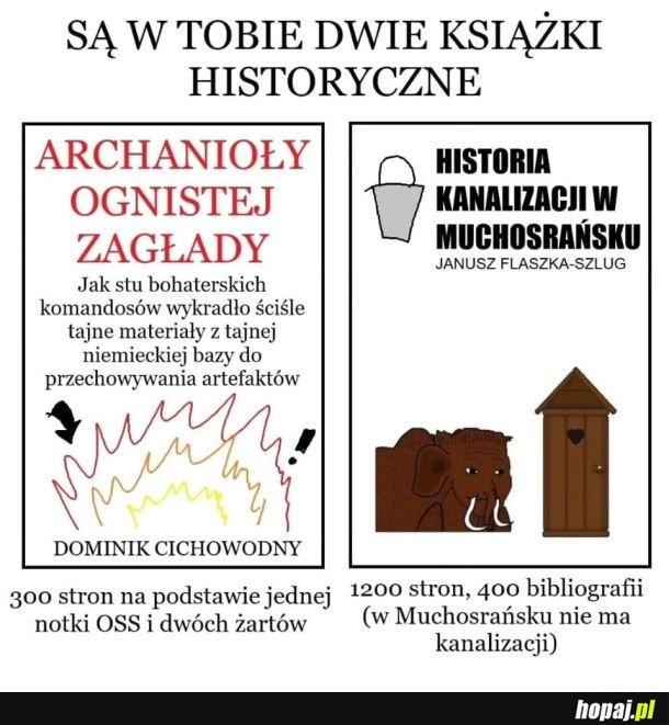 
    Dwa rodzaje książek historycznych