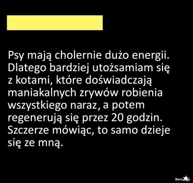 
    Duchowe zwierzę 