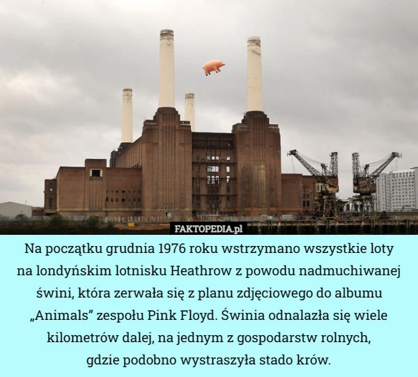 
    Na początku grudnia 1976 roku wstrzymano wszystkie loty na londyńskim lotnisku...