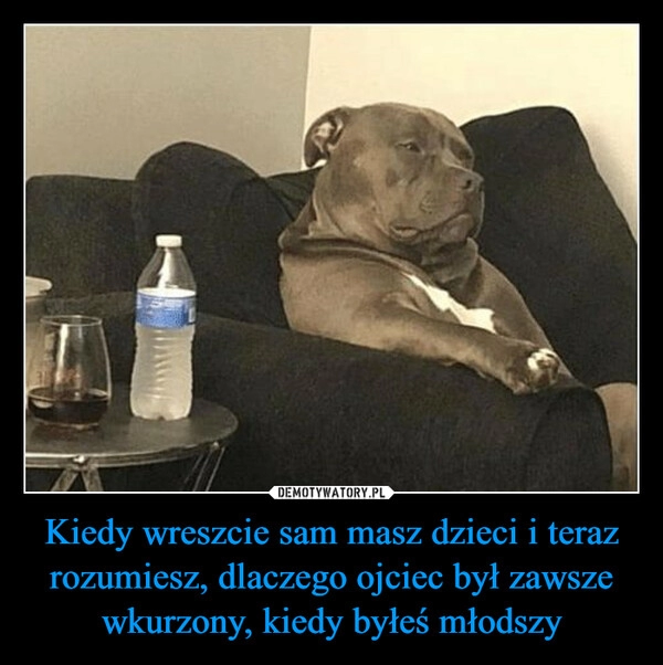 
    Kiedy wreszcie sam masz dzieci i teraz rozumiesz, dlaczego ojciec był zawsze wkurzony, kiedy byłeś młodszy