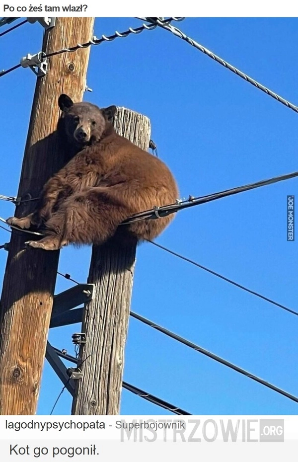 
    Po co żeś tam wlazł?
