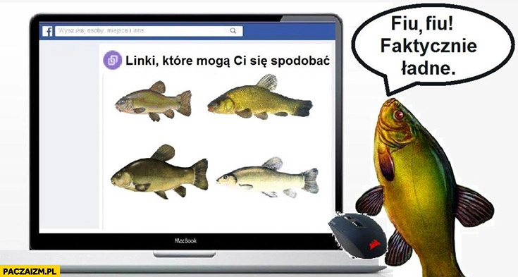 
    Linki, które mogą Ci się spodobać ryby fiu fiu faktycznie ładne