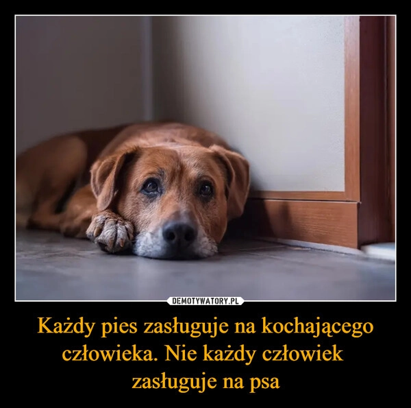 
    Każdy pies zasługuje na kochającego człowieka. Nie każdy człowiek 
zasługuje na psa