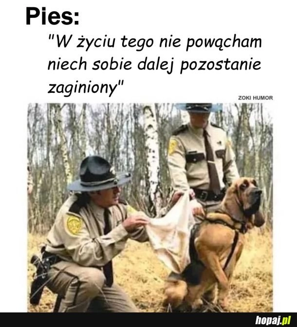 
    Pies tropiący