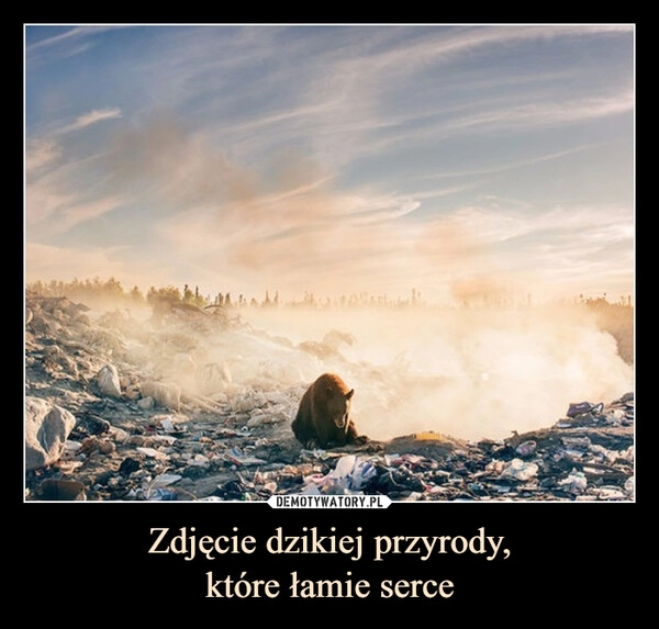 
    Zdjęcie dzikiej przyrody,
które łamie serce