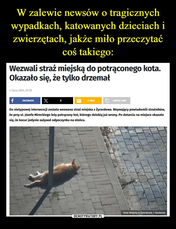 
    W zalewie newsów o tragicznych wypadkach, katowanych dzieciach i zwierzętach, jakże miło przeczytać coś takiego: