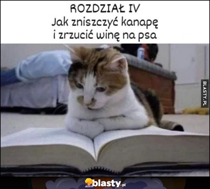 
    Kot czyta książkę: rozdział IV jak zniszczyć kanapę i zrzucić winę na psa