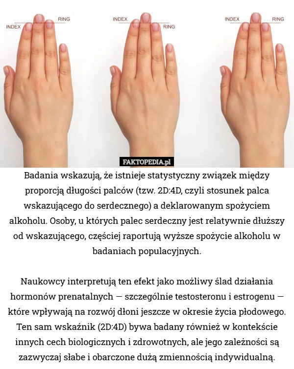 
    Badania wskazują, że istnieje statystyczny związek między proporcją długości
