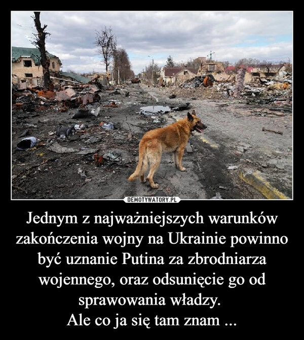 
    Jednym z najważniejszych warunków zakończenia wojny na Ukrainie powinno być uznanie Putina za zbrodniarza wojennego, oraz odsunięcie go od sprawowania władzy. 
Ale co ja się tam znam ...