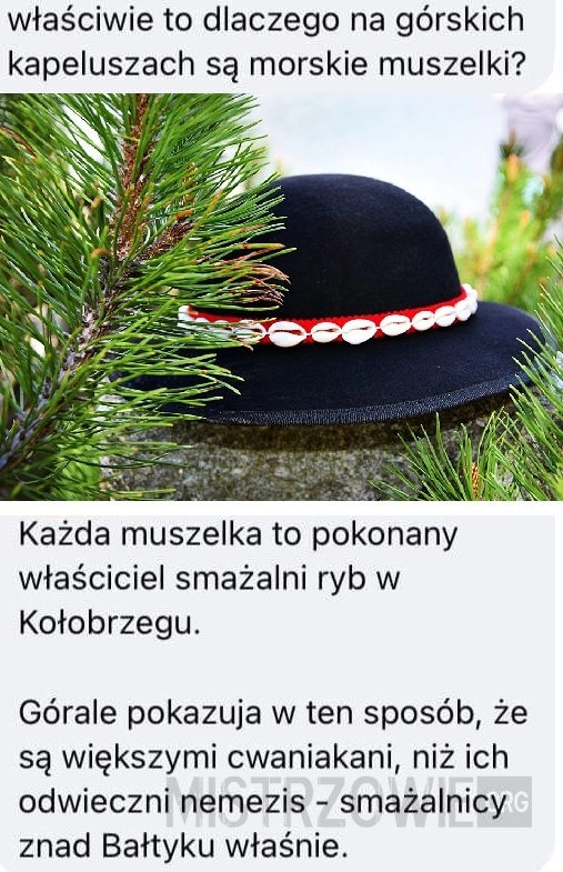 
    Muszelki