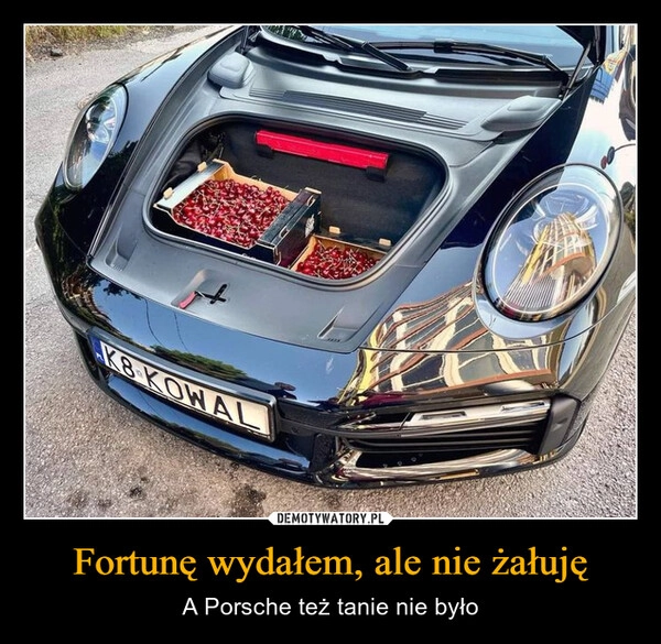 
    Fortunę wydałem, ale nie żałuję