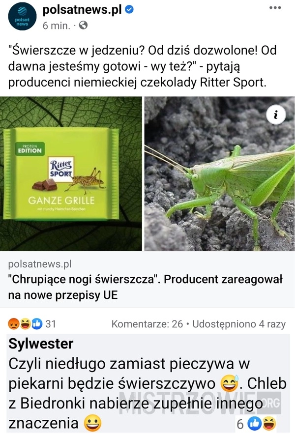 
    Świerszcze