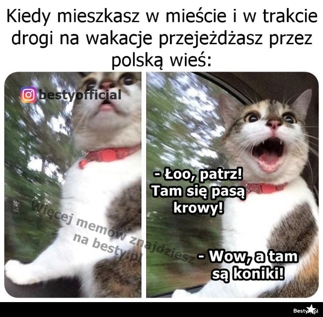 
    Atrakcje podczas drogi 