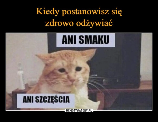 
    Kiedy postanowisz się
zdrowo odżywiać