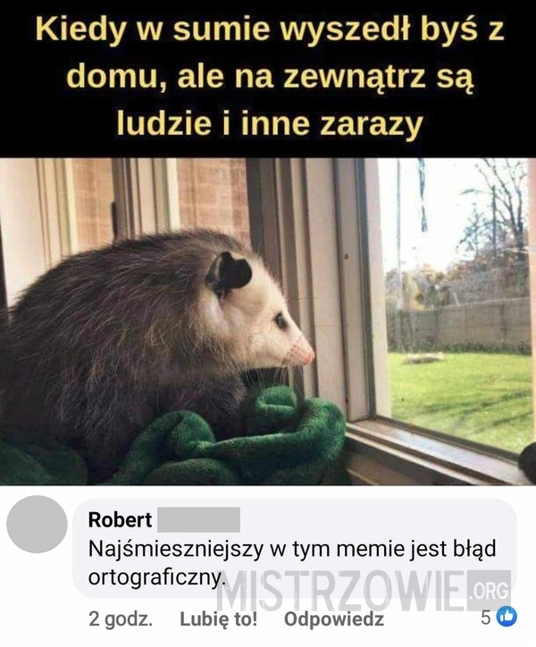 
    Słaby mem