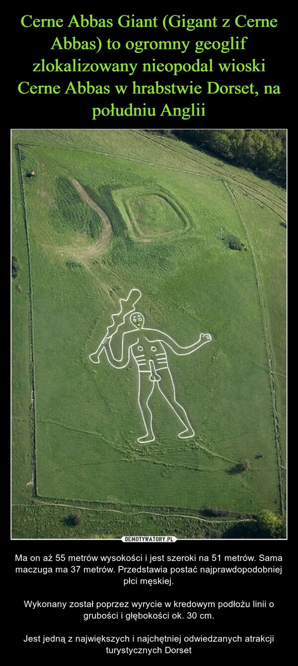 
    Cerne Abbas Giant (Gigant z Cerne Abbas) to ogromny geoglif zlokalizowany nieopodal wioski Cerne Abbas w hrabstwie Dorset, na południu Anglii