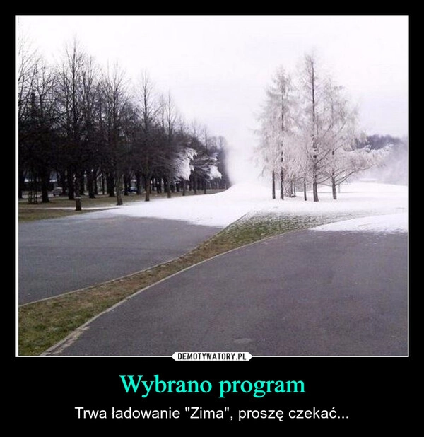 
    Wybrano program