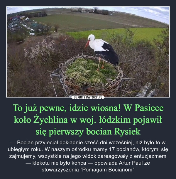 
    To już pewne, idzie wiosna! W Pasiece koło Żychlina w woj. łódzkim pojawił się pierwszy bocian Rysiek