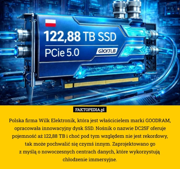 
    Polska firma Wilk Elektronik, która jest właścicielem marki GOODRAM, opracowała